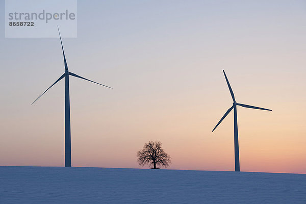 Linde Windturbine Windrad Windräder Winter Baum Limette 1 Abenddämmerung Deutschland Thüringen