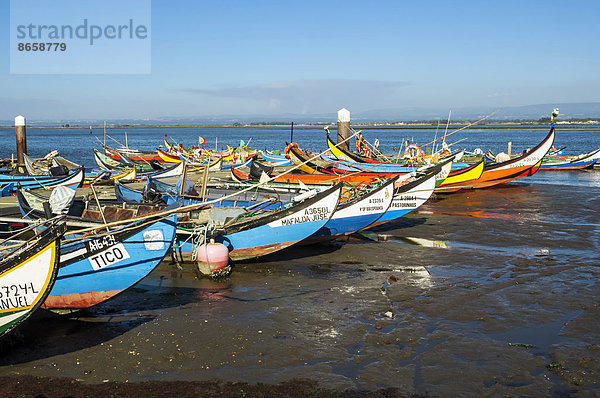 Farbenfrohe Boote  Torreira  Região Centro  Portugal