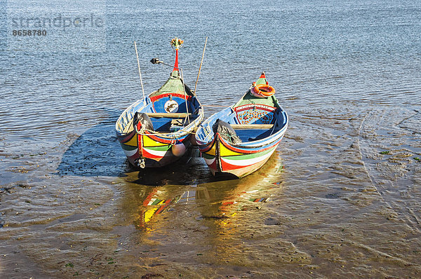 Farbenfrohe Boote  Torreira  Região Centro  Portugal
