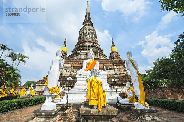 Buddha-Statuen vor dem Stupa im Wat Yai Chai Mongkhon  Ayutthaya  Thailand