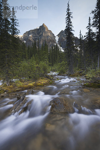 Bach im Tal der Zehn Zinnen  Banff-Nationalpark  Alberta  Kanada