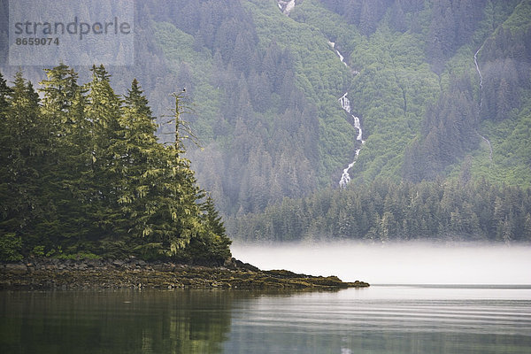 Weißkopfseeadler und Wasserfall  Glacier Bay National Park and Preserve  Alaska