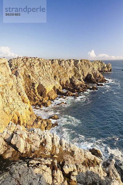 Pointe de Penhir  Halbinsel von Crozon  Département Finistère  Bretagne  Frankreich