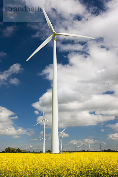 Windturbine Windrad Windräder Feld Windpark Canola Deutschland Mecklenburg-Vorpommern