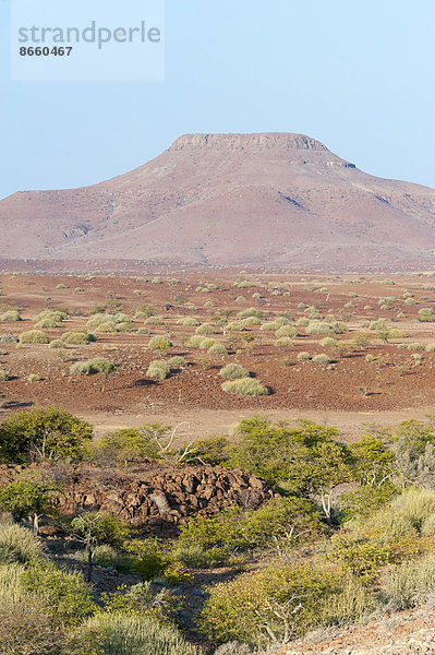Trockene weite Landschaft  Region Kunene  Namibia
