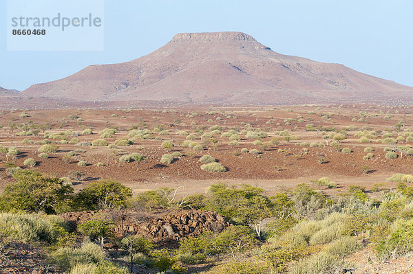 Trockene weite Landschaft  Region Kunene  Namibia