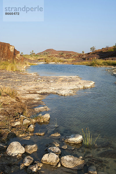 Frisches Quellwasser in einem Canyon bei Palmwag  Region Kunene  Namibia