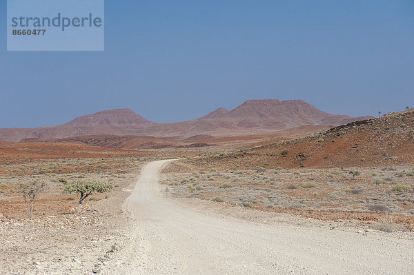 Schotterstraße in trockener Landschaft  Region Kunene  Namibia