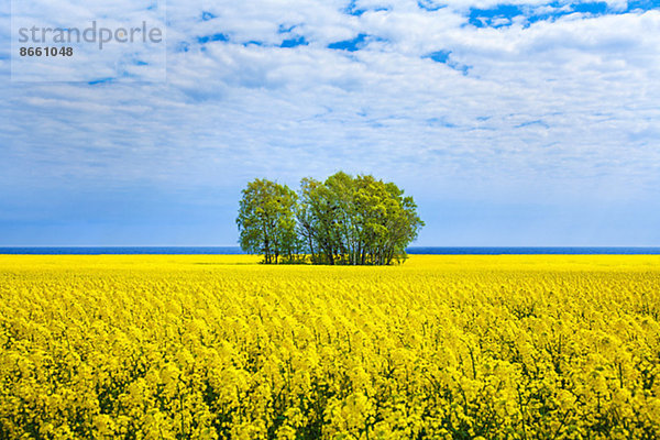 Skane län  Schweden