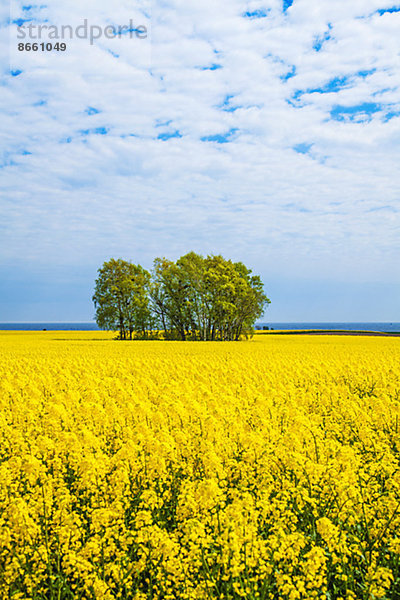 Skane län  Schweden