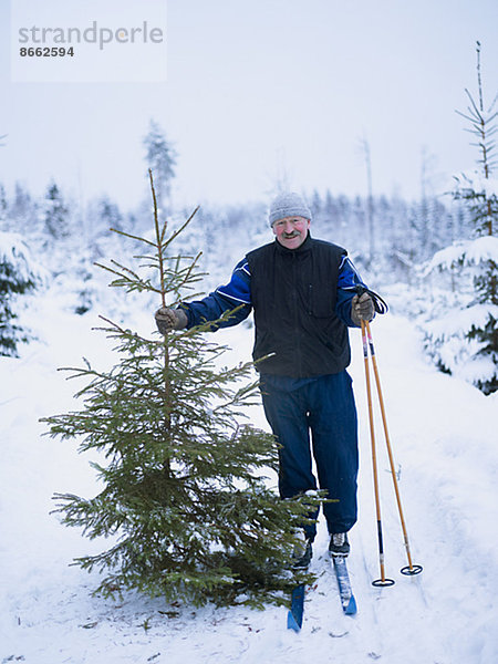 Mann  lächeln  Baum  Fichte