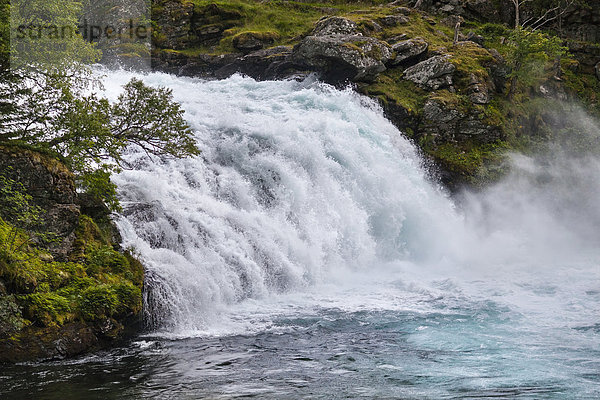 Wasserfall  Flamtal  Flåm  Sogn og Fjordane  Norwegen