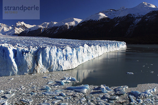 Lago Argentino mit Eisbergen  Perito Moreno Gletscher  Hochanden  bei El Calafate  Patagonien  Argentinien