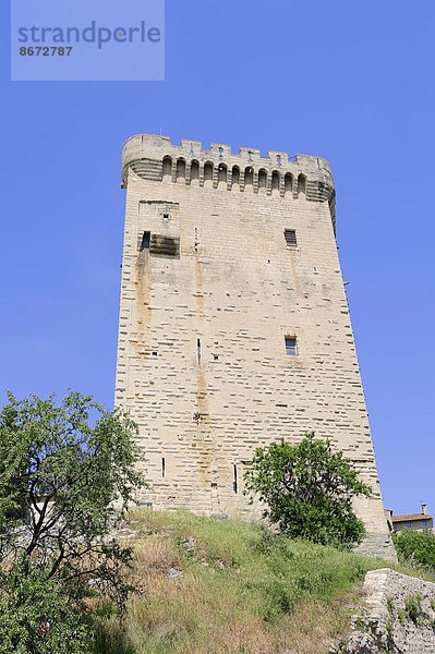 Wehrturm Philippe Le Bel  Villeneuve-lès-Avignon  Gard  Languedoc-Roussillon  Südfrankreich  Frankreich