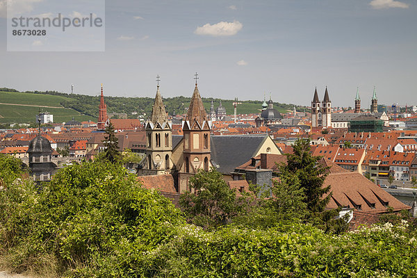 Ausblick vom Weinwanderweg Schlossberg auf die Stadt  Würzburg  Franken  Bayern  Deutschland