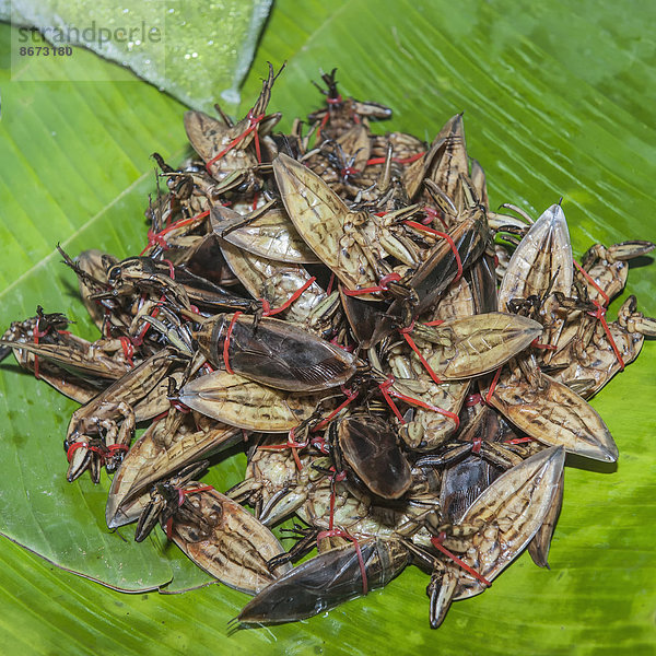 Gekochte Insekten zum Verkauf  Thailand