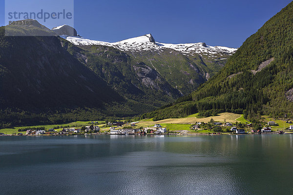 Ausblick auf Fjærland mit Jostefonni Gletscher  Fjærlandsfjord  Sogndal  Sogn og Fjordane  Norwegen