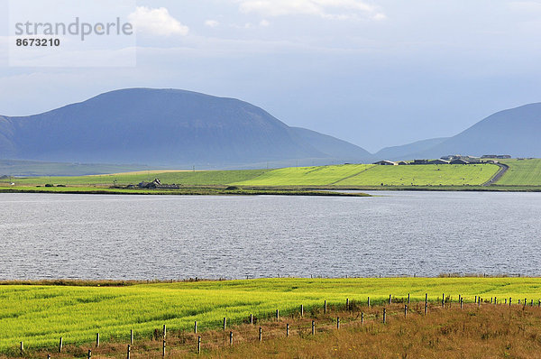 Typische Landschaft am Loch Stenness auf der Insel Mainland  Orkney  Schottland  Großbritannien
