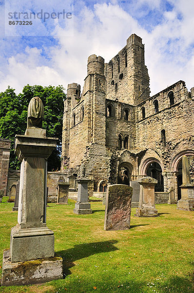 Die Ruine der Kelso Abbey  12. Jahrhundert  Kelso  Scottish Borders  Schottland  Großbritannien