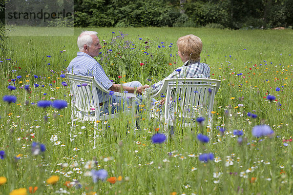 Seniorenpaar sitzt auf einer Wiese  Niedersachsen  Deutschland