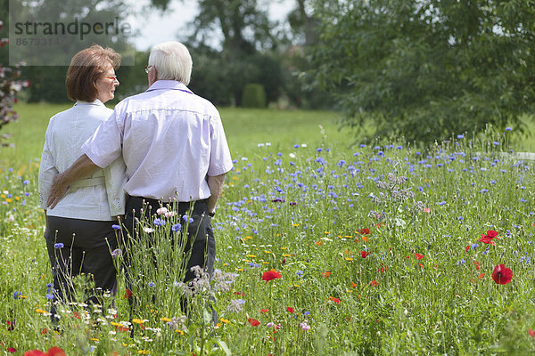 Seniorenpaar steht auf einer Blumenwiese  Niedersachsen  Deutschland