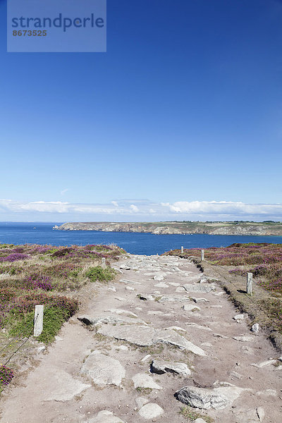 Ausblick vom Pointe du Raz zum Pointe du Van  Halbinsel Cap Sizun  Département Finistère  Bretagne  Frankreich