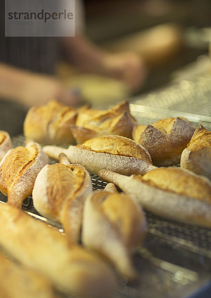 Nahaufnahme von frischem Brot in der Bäckerei
