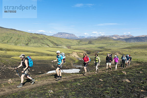 Trekking im Hochland  Wandergruppe geht hintereinander  grüne Berglandschaft  Trekkingweg Laugavegur  bei Álftavatn  Rangárþing ytra  Suðurland  Island  Skandinavien