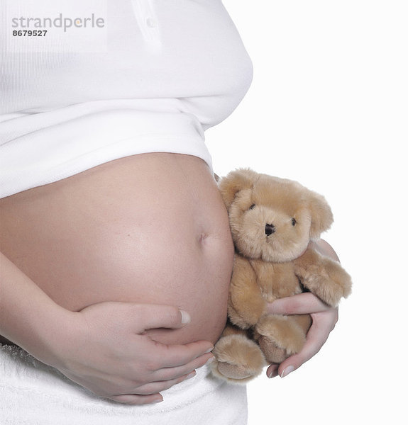 Bär  Europäer  Frau  halten  Schwangerschaft  Teddy  Teddybär