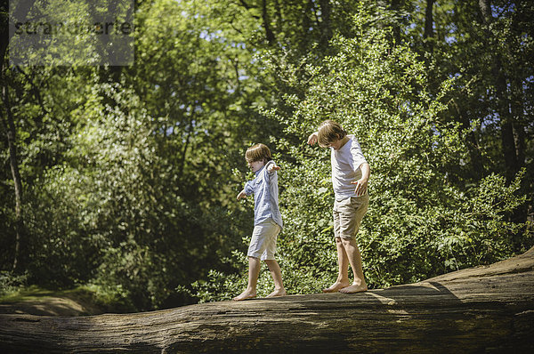 Zwei Jungen zelten im New Forest. Sie gehen an einem Baumstamm über dem Wasser entlang und balancieren mit ausgestreckten Armen.
