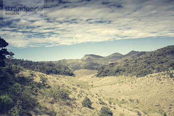 Sri Lanka  Zentralprovinz  Horton Plains Nationalpark  Landschaft