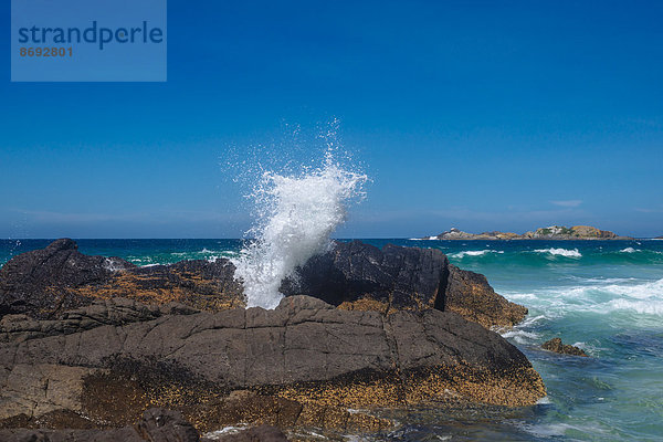 Australien  Seal Rocks  Felsen und Brandungswelle