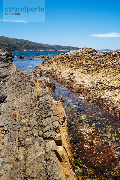 Australien  Robbenfelsen  Felsen und Ozean