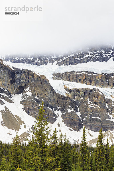Kanada  Alberta  Rocky Mountains  Canadian Rockies  Banff National Park  Crowfoot Glacier und Crowfoot Mountain