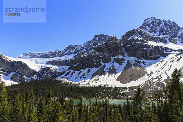 Kanada  Alberta  Rocky Mountains  Kanadische Rockies  Banff National Park  Crowfoot Glacier