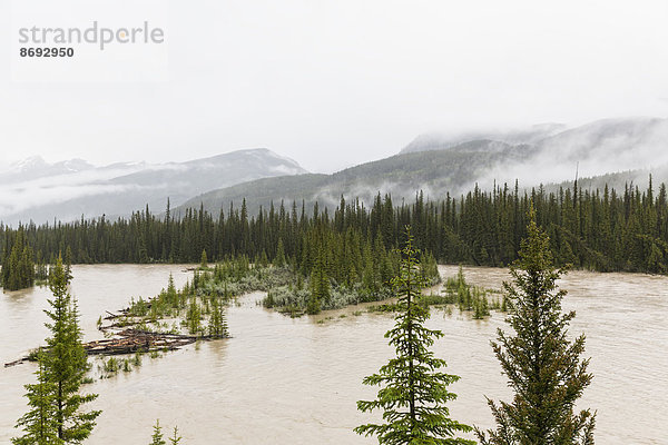 Kanada  Alberta  Rocky Mountains  Banff National Park  Überschwemmungen im Jahr 2013