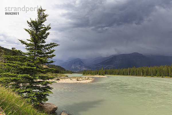 Kanada  Alberta  Jasper Nationalpark  Athabasca River vor den Rocky Mountains