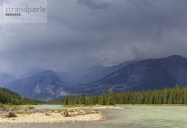 Kanada  Alberta  Jasper Nationalpark  Athabasca River vor den Rocky Mountains