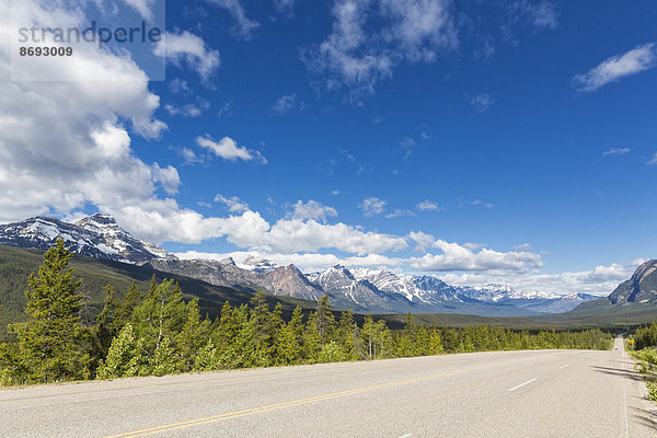 Kanada  Alberta  Jasper Nationalpark  Banff Nationalpark  Icefields Parkway