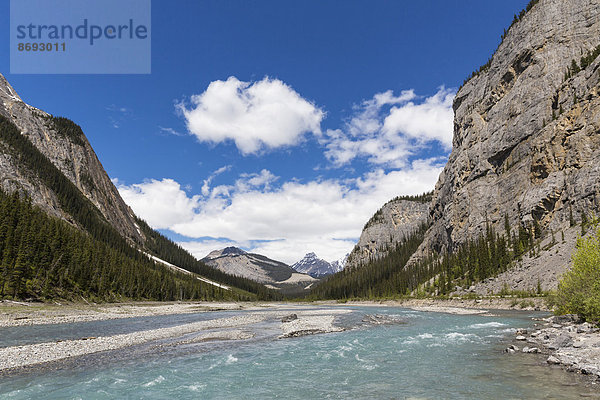 Kanada  Alberta  Jasper National Park  Banff National Park  Icefields Parkway  Bow River