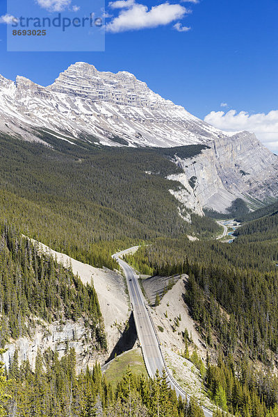 Kanada  Alberta  Banff National Park  Icefields Parkway  Cirrus Mountain