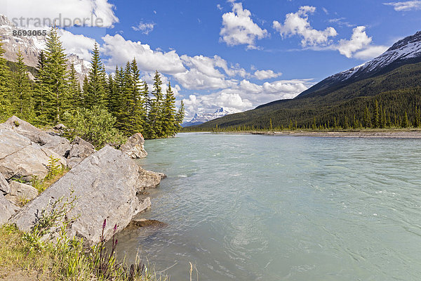 Kanada  Alberta  Jasper National Park  Banff National Park  Icefields Parkway  Blick auf den Fluss