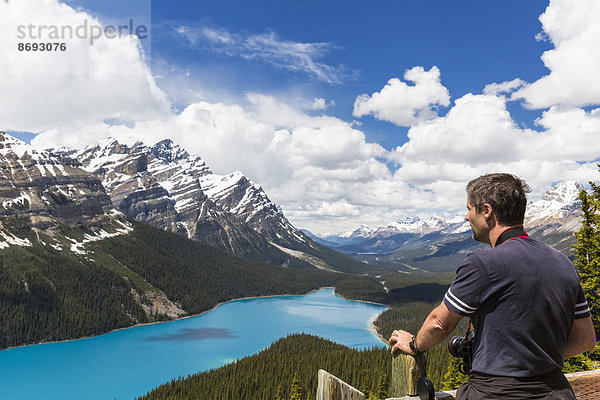 Kanada  Alberta  Banff Nationalpark  Tourist am Peyto Lake vom Bow Summit aus gesehen