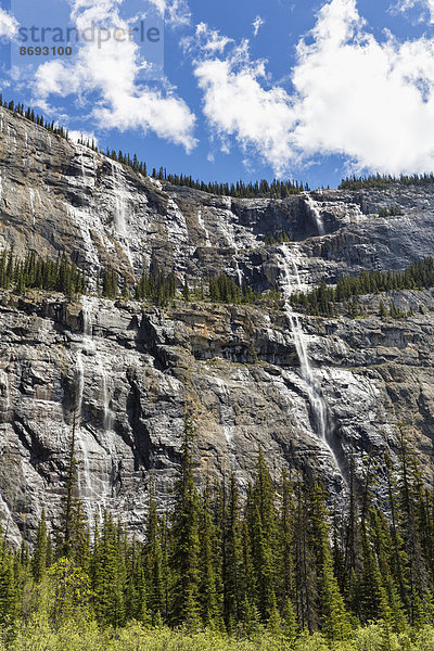 Kanada  Alberta  Banff Nationalpark  Trauerwand