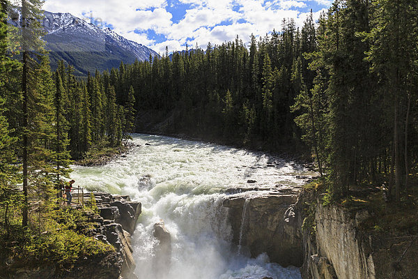 Kanada  Alberta  Jasper Nationalpark  Sunwapta Fälle  Sunwapta River