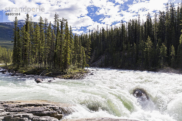 Kanada  Alberta  Jasper Nationalpark  Sunwapta Fälle  Sunwapta River