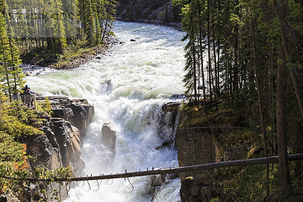 Kanada  Alberta  Jasper Nationalpark  Sunwapta Fälle  Sunwapta River