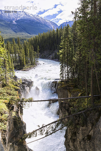 Kanada  Alberta  Jasper Nationalpark  Sunwapta Fälle  Sunwapta River