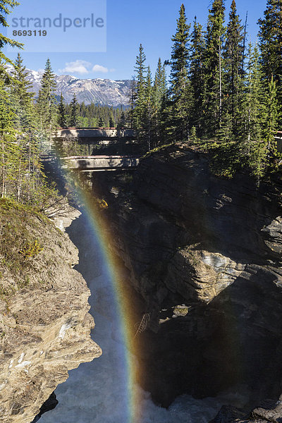 Kanada  Alberta  Jasper Nationalpark  Athabasca Fluss