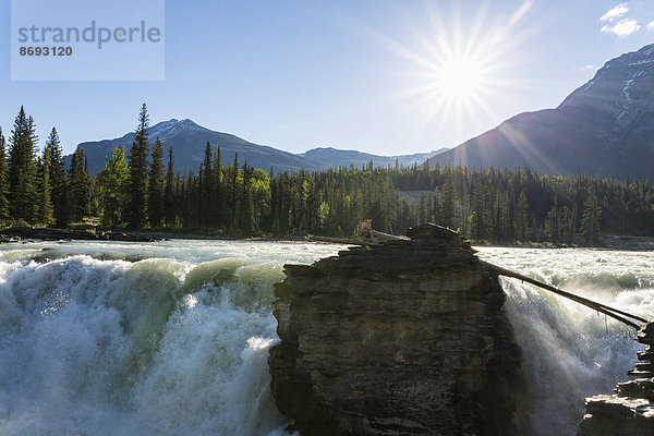 Kanada  Alberta  Jasper Nationalpark  Athabasca Fluss  Athabasca Fälle